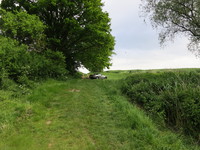 IMG_3619.JPG