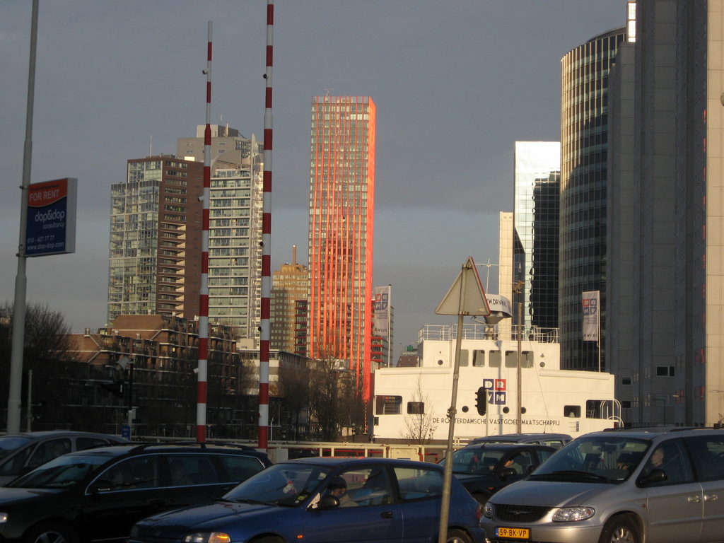 IMG_4290.JPG
