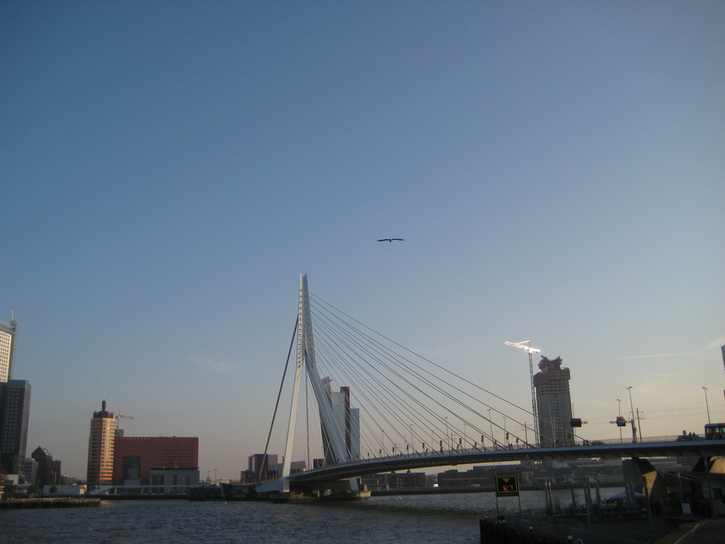 IMG_4294.JPG