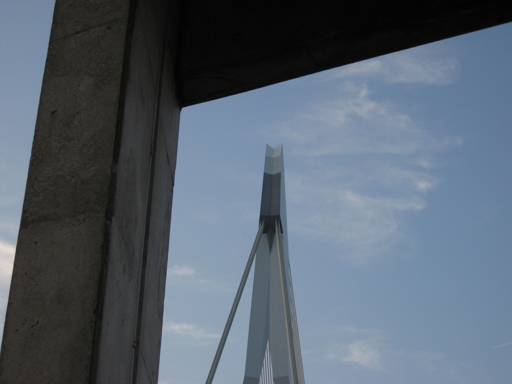 IMG_4335.JPG