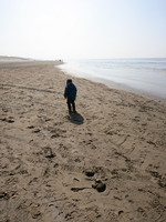 IMG_5074.JPG