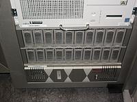 IMG_1974.jpg