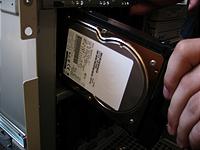 IMG_2013.jpg