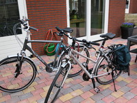 IMG_0090.jpg