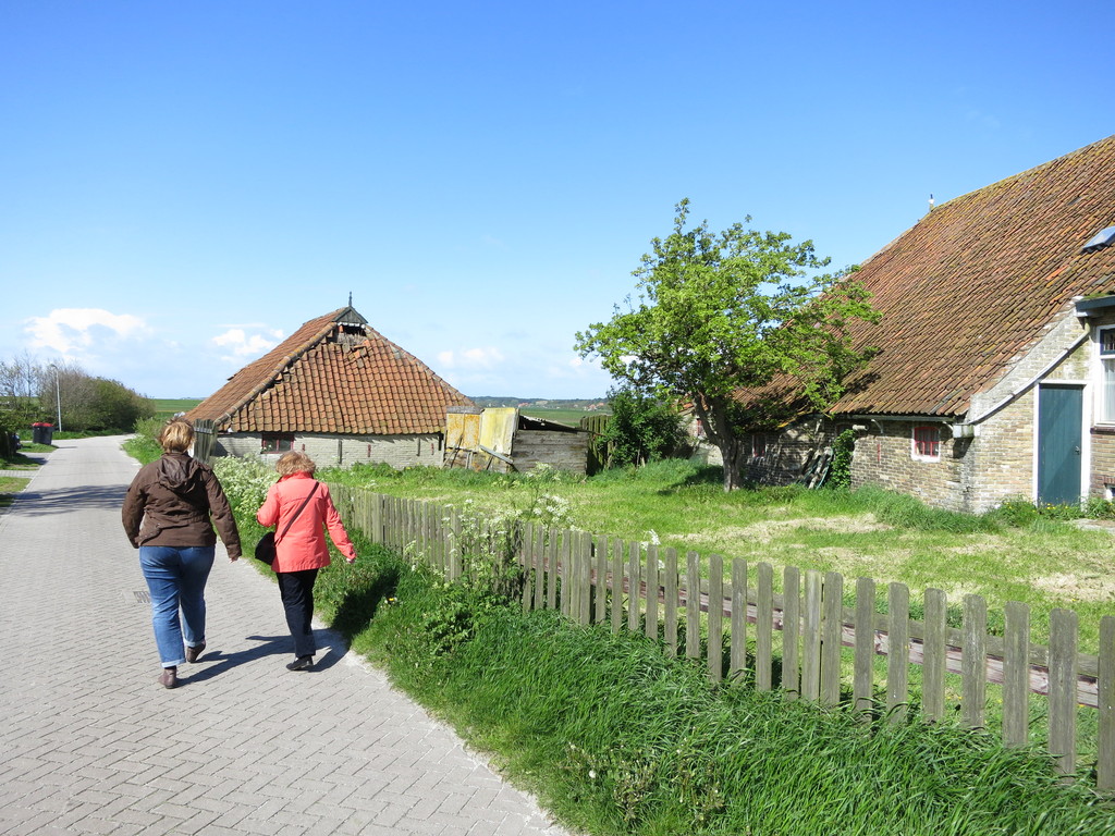 IMG_0179.jpg