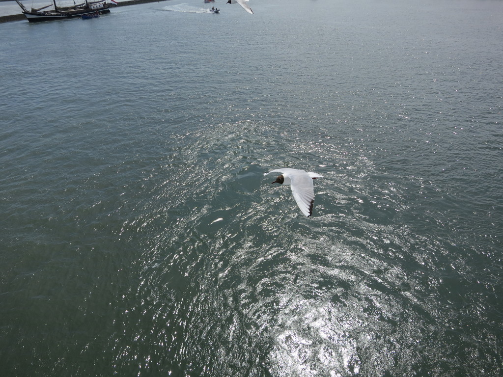 IMG_0228.jpg
