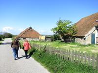 IMG_0179.jpg