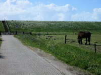 IMG_0180.jpg
