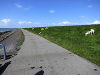 IMG_0183.jpg