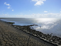 IMG_0188.jpg
