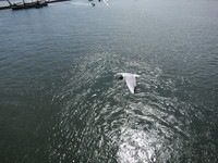 IMG_0228.jpg