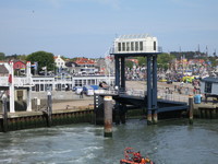 IMG_0232.jpg