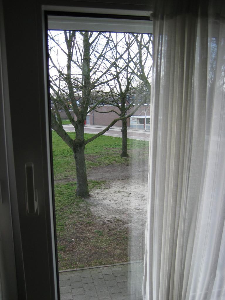 IMG_1895.JPG