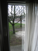 IMG_1895.JPG