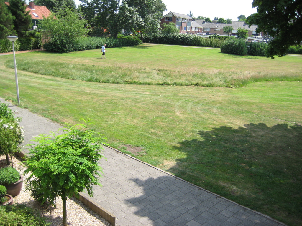 IMG_1987.jpg