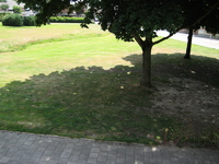 IMG_1988.jpg