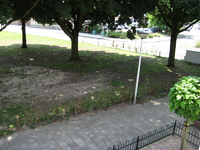 IMG_1989.jpg