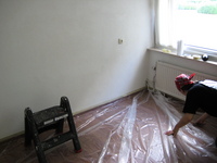 IMG_2202.jpg