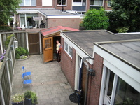 IMG_2238.jpg
