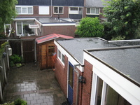 IMG_2254.jpg