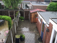 IMG_2255.jpg