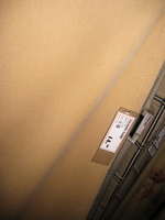 IMG_2284.jpg