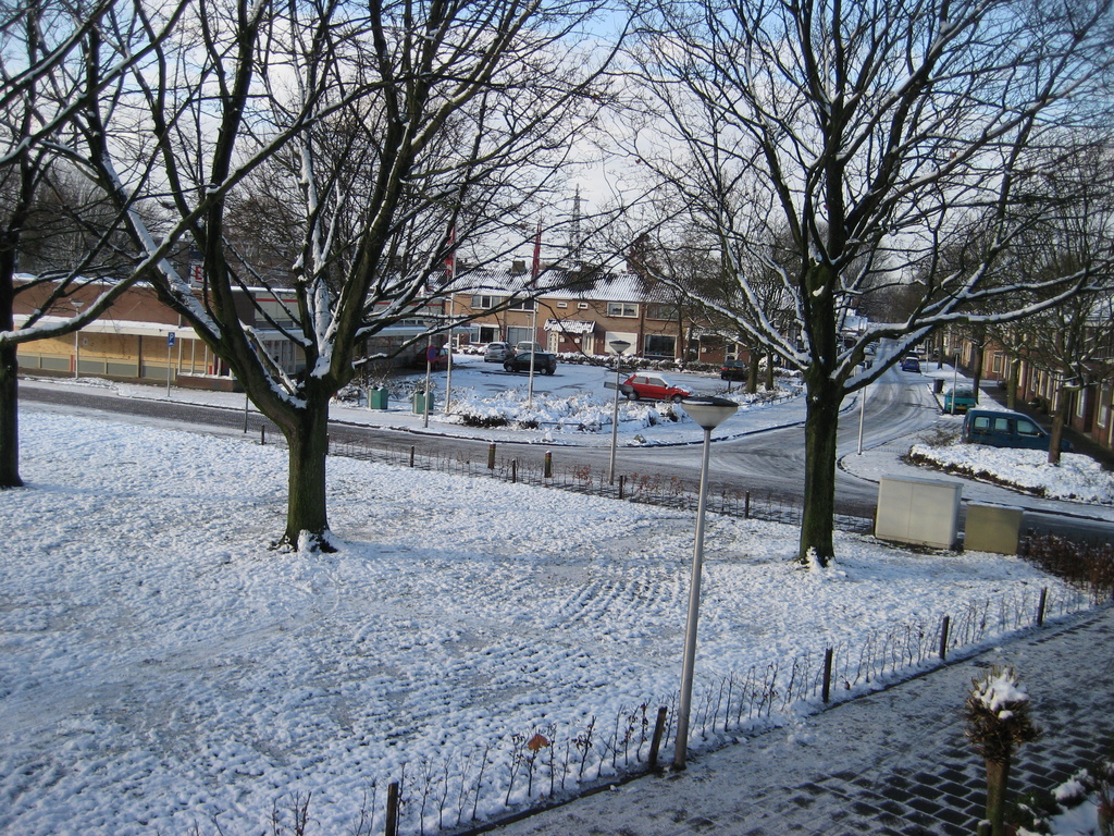 IMG_3076.jpg