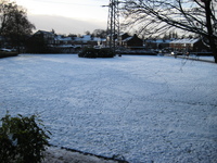 IMG_3075.jpg