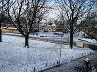 IMG_3076.jpg