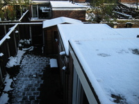 IMG_3077.jpg