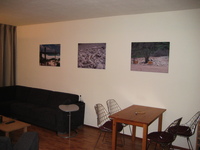 IMG_3078.jpg