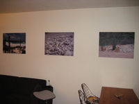 IMG_3079.jpg