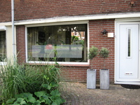 IMG_5075.JPG