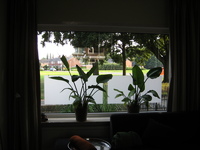 IMG_5078.JPG