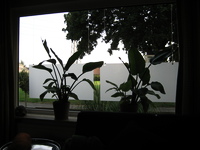 IMG_5079.JPG