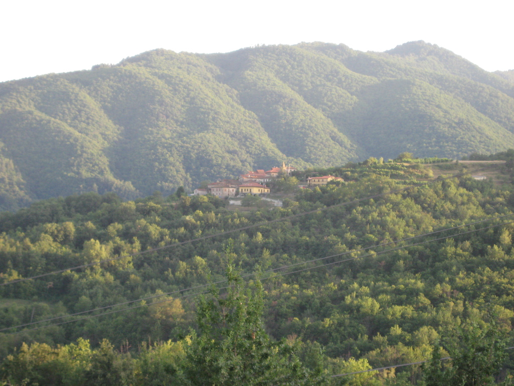 IMG_3824.JPG