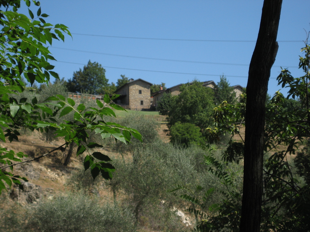 IMG_3841.JPG