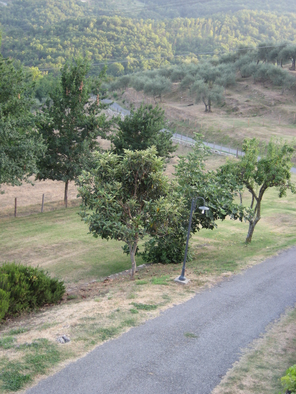 IMG_3853.JPG