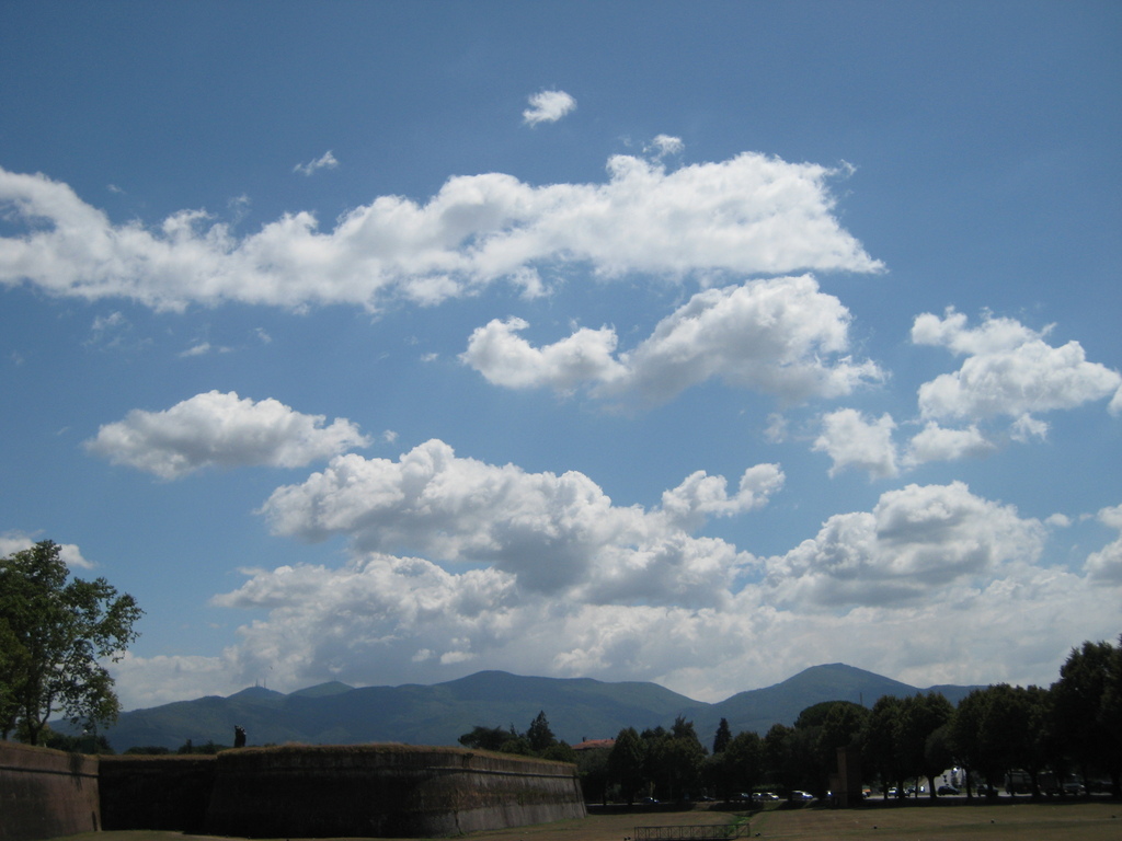 IMG_3870.JPG