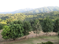 IMG_3821.JPG