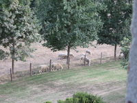 IMG_3822.JPG