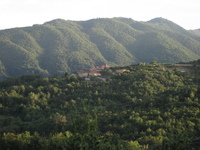 IMG_3823.JPG
