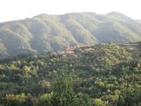 IMG_3824.JPG