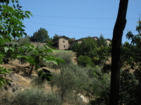 IMG_3841.JPG