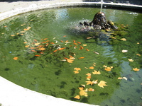 IMG_3845.JPG