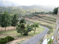 IMG_3851.JPG