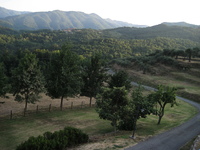 IMG_3852.JPG