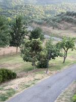 IMG_3853.JPG