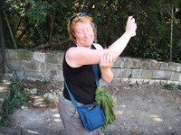 IMG_3898.JPG