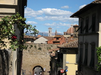 IMG_3900.JPG